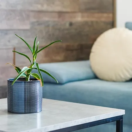 Apartment Teona Luxury With Terrace Sali